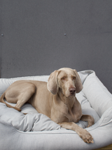Dog Bed, Light Grey