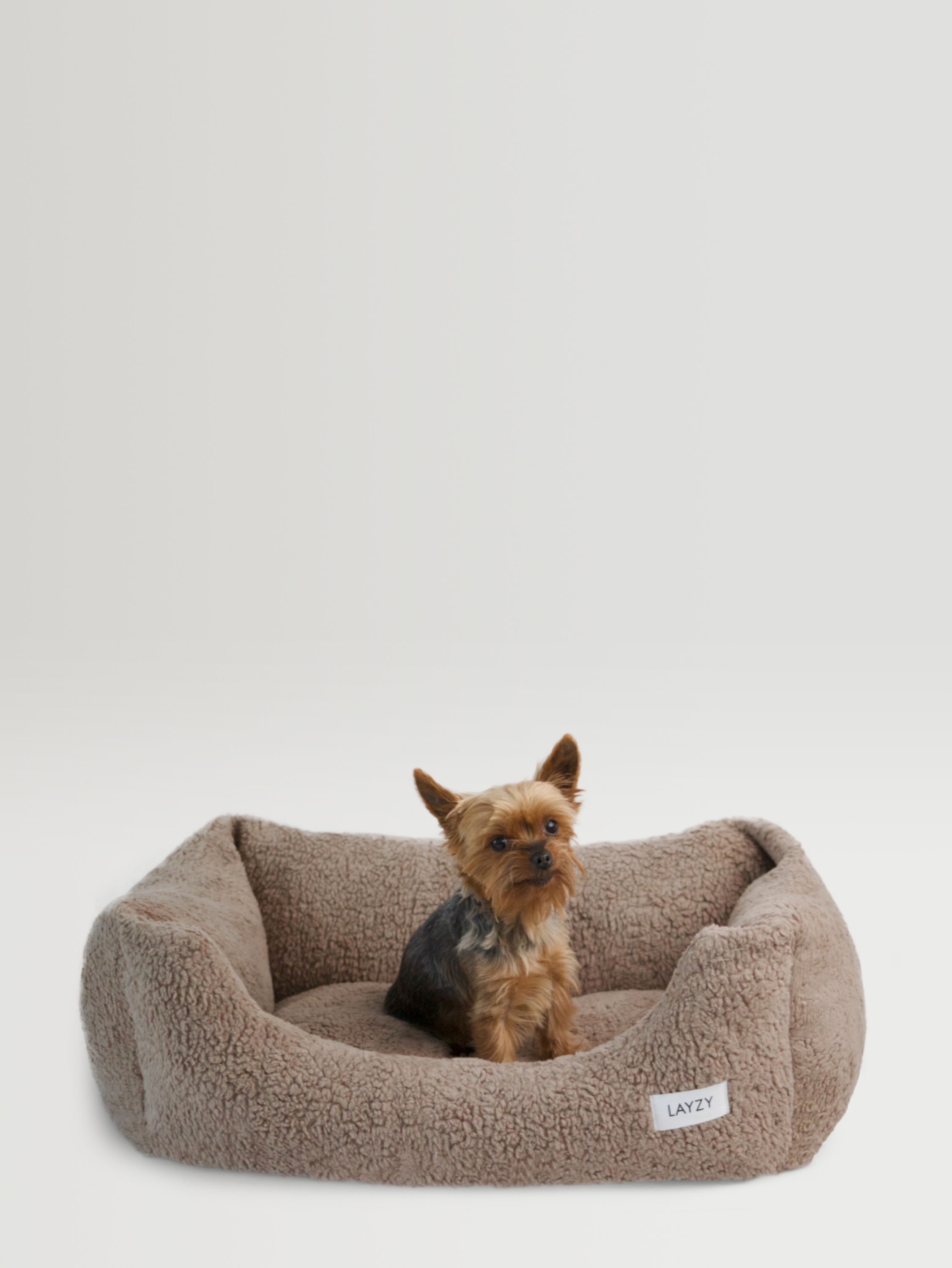 Dog Bed Teddy, Brown